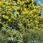 Rez-de-chaussee Dans Grand Jardin Provencal, A La Tatiana Lägenhet *