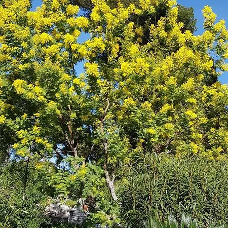 Rez-de-chaussee Dans Grand Jardin Provencal, A La Tatiana דירה *