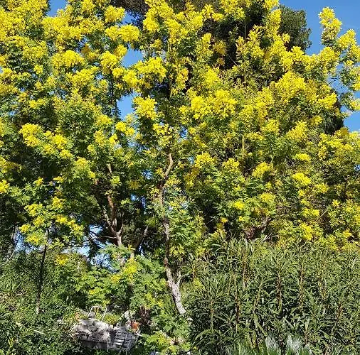 Rez-de-chaussee Dans Grand Jardin Provencal, A La Tatiana Apartment *